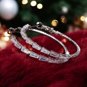 Gorgeous Hoop Earrings